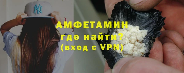 индика Алексин