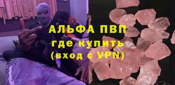 индика Алексин