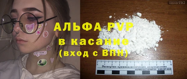 индика Алексин